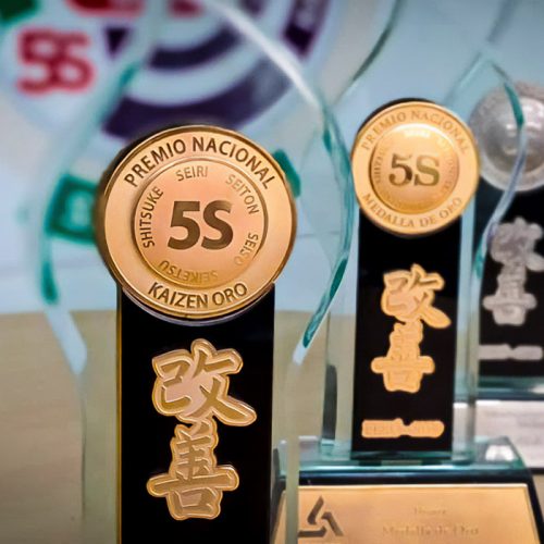Direcciona-Web-Categoria-Premio5S